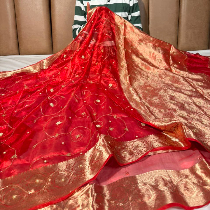 Carmine Red Pure Tissue Silk delicate Handwork Saree