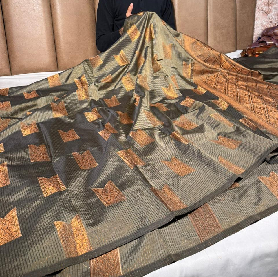 Beige brown Kanchi softsilk saree