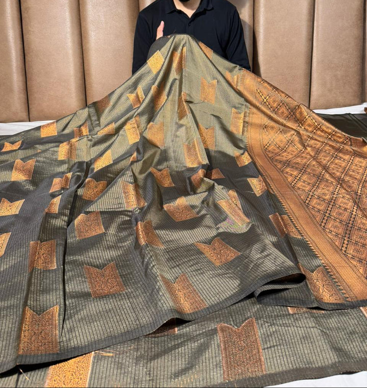 Beige brown Kanchi softsilk saree