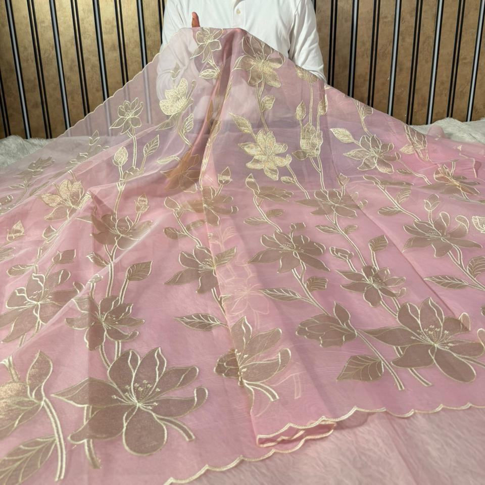 Baby Pink Kota Banarasi Applique Work Saree