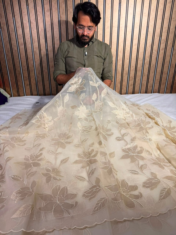Cream Organza Banarasi Appliqué Work Saree