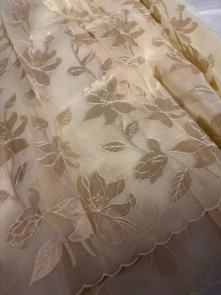 Cream Organza Banarasi Appliqué Work Saree