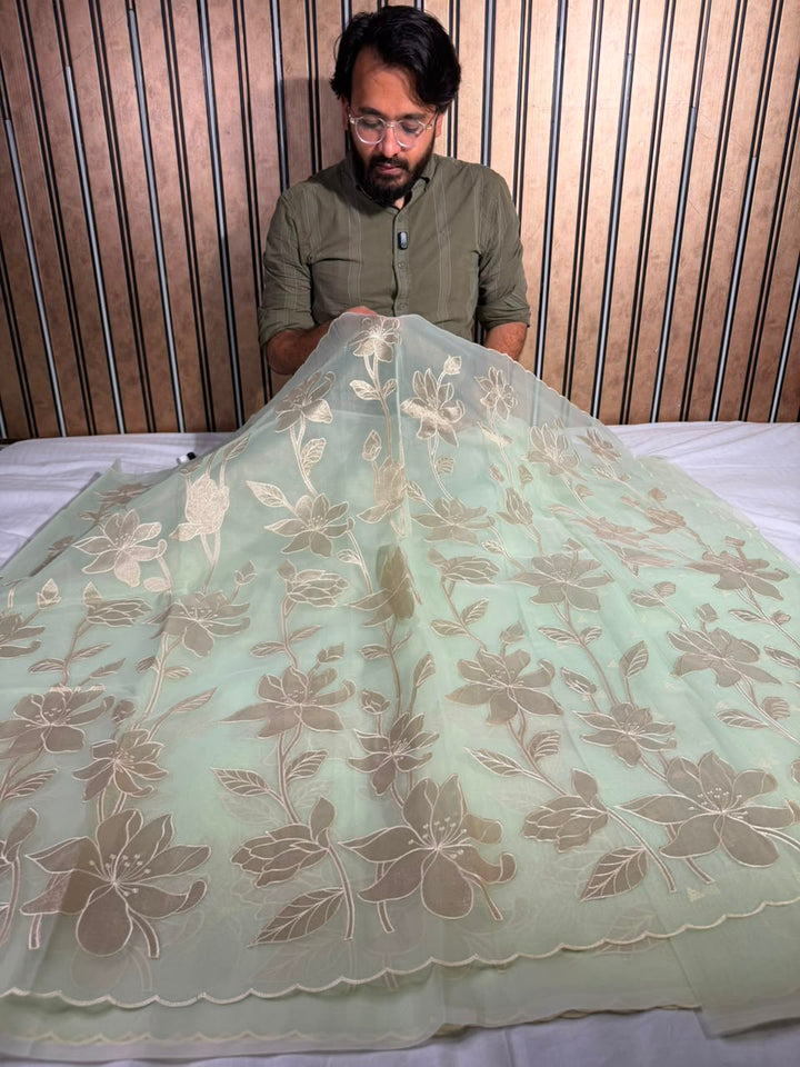 Sea Green Organza Banarasi Appliqué Work Saree