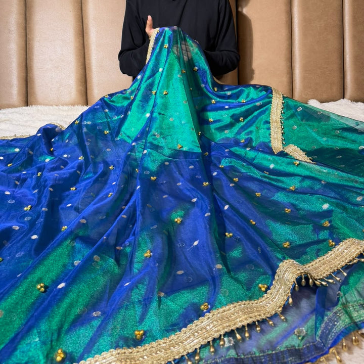 Rare Peacock Tissue Silk Hand ghungroo Work Saree