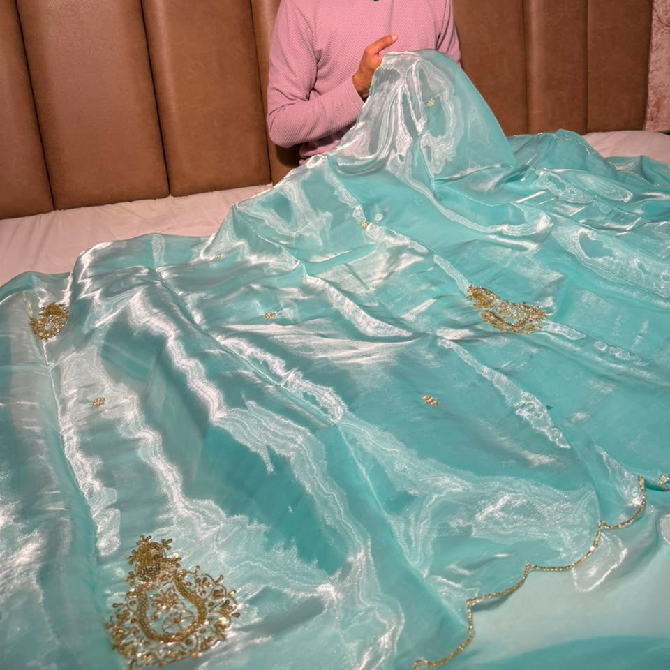 Firozi Shimmery Tissue Handwork Buta Saree
