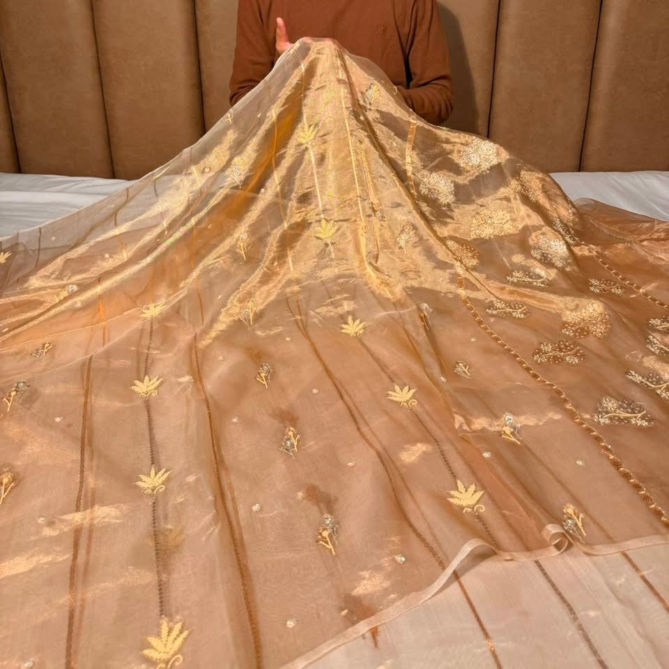 Light Gold Handwoven Pure Tissue Silk Handwork Banarasi Saree