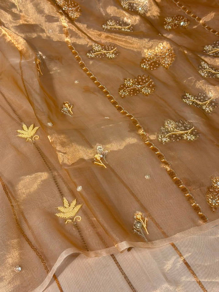 Light Gold Handwoven Pure Tissue Silk Handwork Banarasi Saree