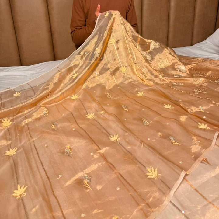 Light Gold Handwoven Pure Tissue Silk Handwork Banarasi Saree