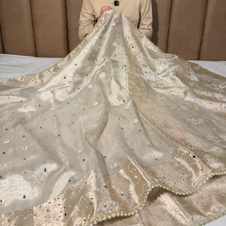 Majestic Mirror Work Kora Tissue Banarasi Saree